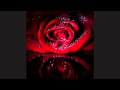 John Coltrane / You Don't Know What Love Is ...