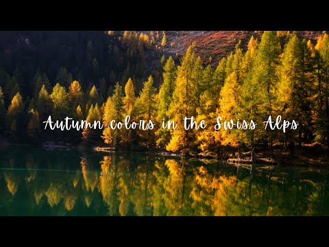 Chasing autumn colors in Switzerland 🧡🍂| Autumn foliage and golden larches in the Swiss Alps🇨🇭