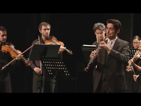 A. Lotti - Concerto for Oboe d'amore in A major -  Samuel Bastos & Sinfonietta de Braga