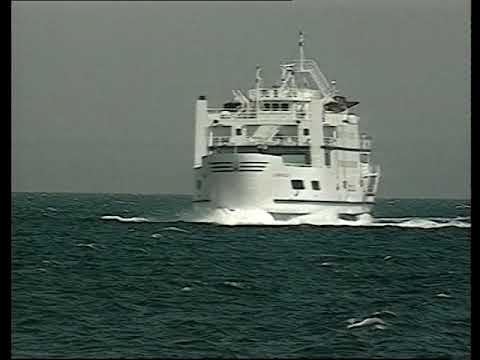 Milo Hrnić - Kome bi šumilo more moje sinje (Official video)