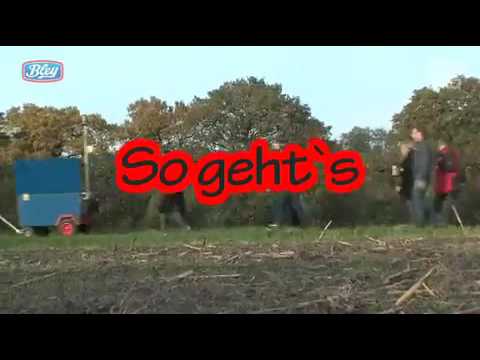 NWZ Kohlfahrtspiel Nr.5: Königspaarwahl