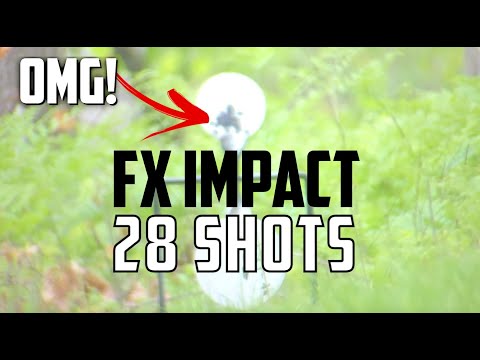 FX Impact .25 with INSANE ACCURACY: FX Airguns Tuned by Southern Precision Air Weapons (SPAW)