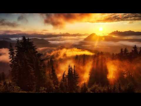 Michael Angelo feat.  Jenry R. - Disconnected Myon & Shane 54 (Radio Edit)