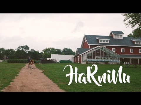 Rogers Park - Harninu [OFFICIAL VIDEO]