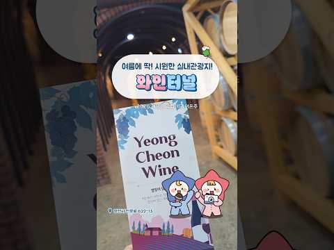 [2026새영천알림이단✨] 여름에 시원한 실내관광지라 좋은 영천 와인터널
