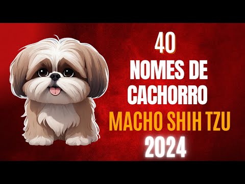 Nomes de cachorro MACHO SHIH TZU! Lindos!!!