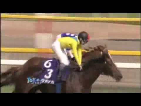 2009 安田記念 YASUDA KINEN
