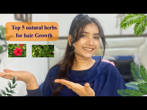 Top 5 natural herbs for hair Growth- Arshi Shaikh | hair care |home remedies|hair mask|hair routine 