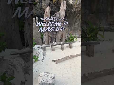 Maya Bay #shortvideo #pataya #beach #youtubeshorts #travel #krabitown #island #reels #mayabay