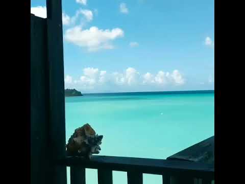 Videos del Cocos Antigua 4★ en Bolans, Antigua y BarbudaVer MásVerPrecios15CerrarConsulta por Whatsapp 🇦🇷BookingTripadvisorExpediaAgodaTravelocityOrbitzPricelineTripSkyscannerKayakHotelesTrivagoLastminuteHotwireTui