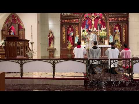 Communio - Dominica II Post Pascha (Jn 10:14)