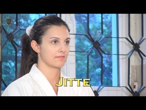 Jitte Kata - Karate Shotokan - by Master Di