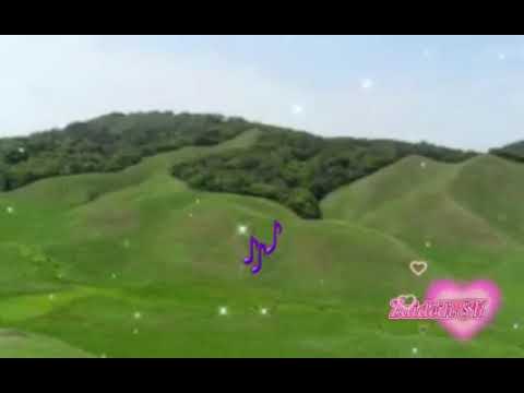 Itna damtui lamal                                                            #Zaideih_Sian #lyrics