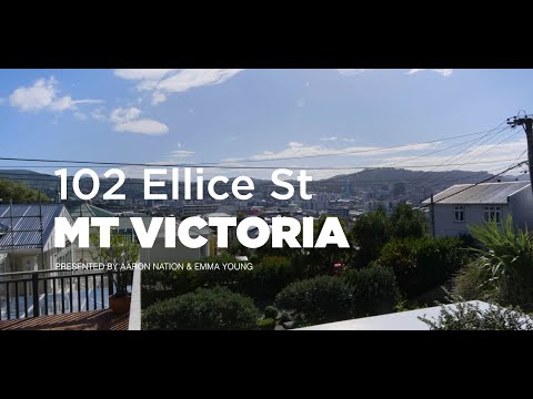 102  Ellice Street, Mount Victoria - Wellington (Aaron Nation & Emma Young)