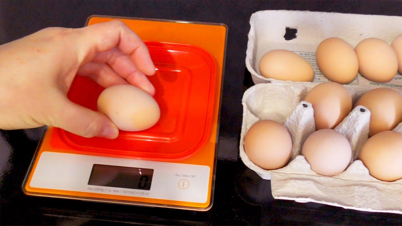 Инкубационное яйцо от моих кур Джерсийский гигант! Первая проверка яиц на оплодность