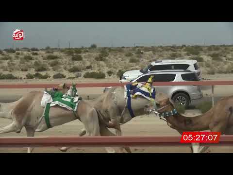   ش 4 (العاشق) لـ عبدالواحد خزع العثه الهركي العامري 9:35 , شارة الديوان 2026/03/07 ثنايا سمحه