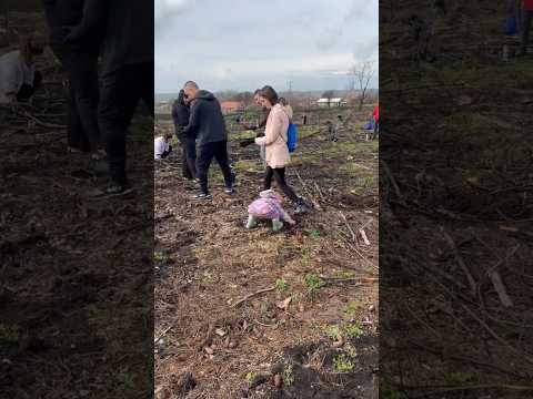 Българово излезе масово да възстанови част от изгорялата си гора