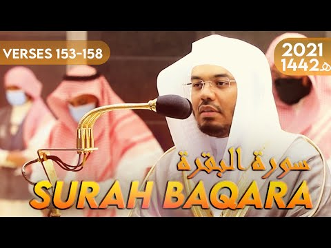 Surah Baqarah | سورة البقرة  | Verses 153-158 | Yasser Al Dossary | Calming Recitation
