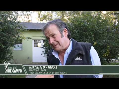 Martín Lalor - Martín G. Lalor - Jueves de marzo de 2019 - B. Juárez