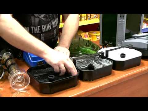 download lagu mp3 mp4 Akwarium Morskie Zakadanie, download lagu Akwarium Morskie Zakadanie gratis, unduh video klip Akwarium Morskie Zakadanie