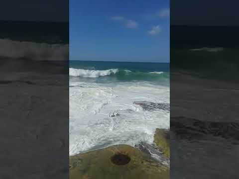 ٨ فبراير ٢٠٢٢