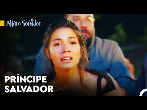 Can Salvó A Sanem - Pájaro Soñador