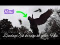 Zindagi Ek Kiraye Ke Ghar Hai Slow Reverb Ll By Mr Ejaz Official