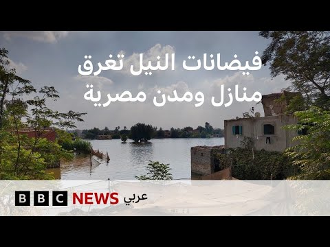 فيديو | فيضانات النيل تغرق منازل ومدن مصرية