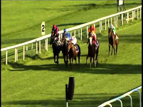 Galopprennbahn Dresden - 27.09.2014 - 5.Rennen