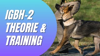 IBGH-2 Training: Theorie & Praxis für perfekten Gehorsam