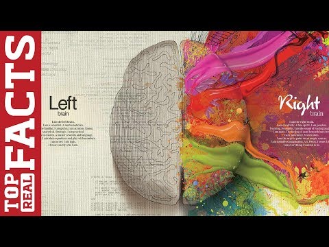 download lagu mp3 mp4 Books That Make You More Intelligent, download lagu Books That Make You More Intelligent gratis, unduh video klip Books That Make You More Intelligent