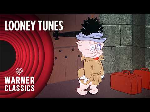 Looney Tunes | Porky Pig | Classic Porky Episodes Compilation | Warner Classics