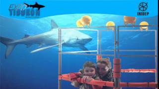 DIA 2 Expo Tiburon136