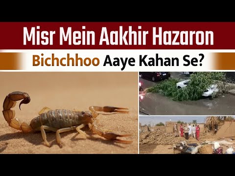 Hazaron Bichchhoo Aakhir Aaye Kahan Se Misr Mein? | Dr. Abdul Karim Alig | iPlus TV