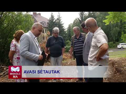 Videó előnézet