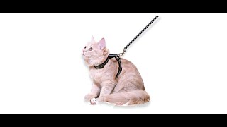 Buraq Reflective Full-Body Cat Harness