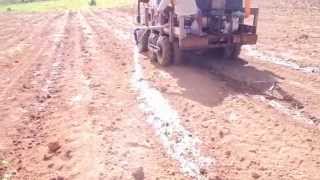 preview picture of video 'Irrigating Newly Planted Sugarcane stools'