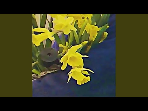 Video thumbnail for 6