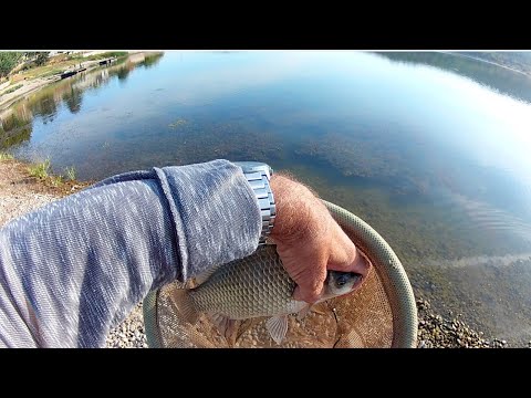 BABUSKA, SPADANJE I JOS PONESTO - 4K VIDEO