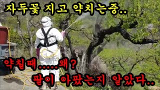 약칠때 와이프가 팔이 아팠던 이유를 찾았네요 ㅎ