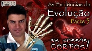 As Evidências da Evolução [3] - Em nossos corpos!