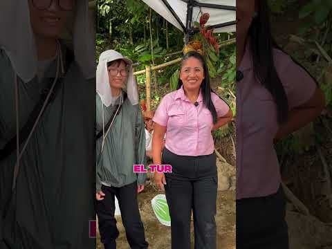 **¡Descubre el Sendero del Cacao Ancestral en Zumbi! ☕️🤠 Historia y aventura en Ecuador 🇪🇨✨**