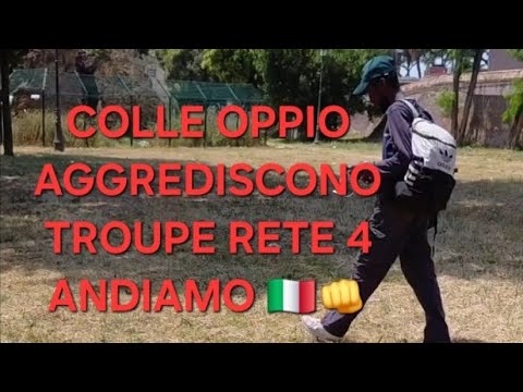 Colosseum, Oppian Hill. They are many, bold and disrespectful. Let's go👊🇮🇹