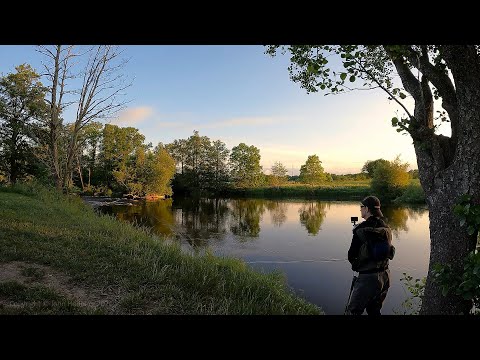 Fly Fishing in the Mörrum River – Season 2025