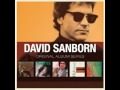 DAVID SANBORN  -  RUSH HOUR