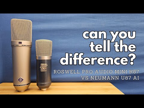Mini K87 vs U87 Ai - You decide.