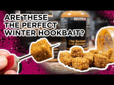 Make Your Own Live System Paste Cubes For Winter Carp Fishing ❄️