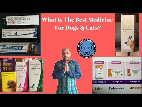What is the best medicine for dogs and cats