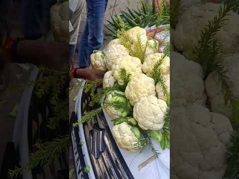 wedding car decoration || wedding status || car 🚗 status || #shorts #short #car #thar #weding