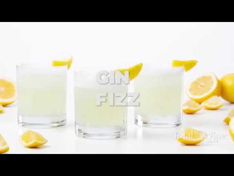 Gin Fizz Cocktail Recipe